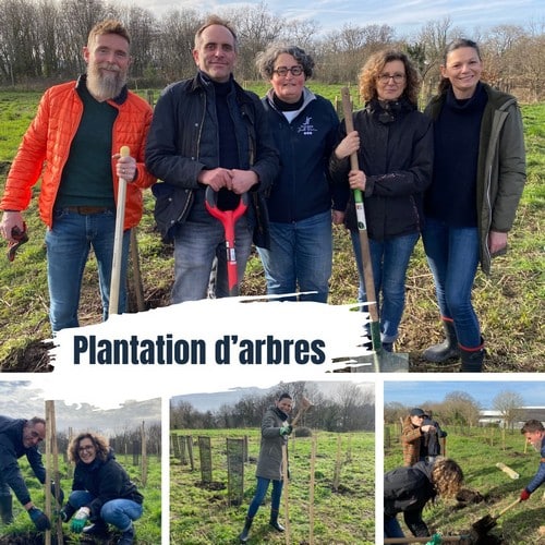 plantation arbre RSE